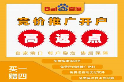 sem百度竞价成功案例：如何精准投放广告